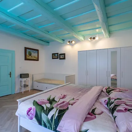 Aranypatko Vendeghaz