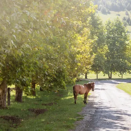 Aranypatko Vendeghaz * Aggtelek