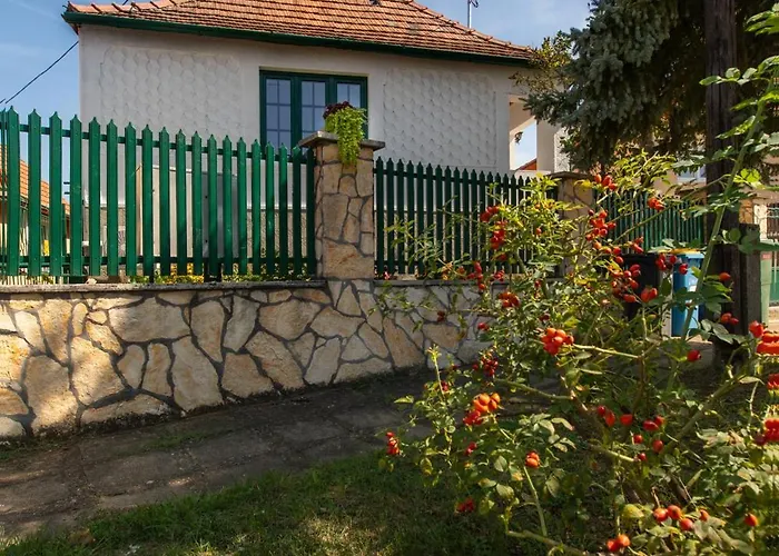 Aranypatko Vendeghaz